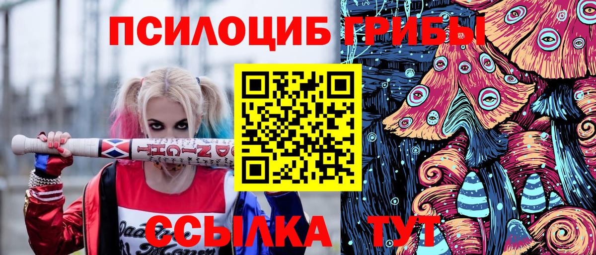 Галлюциногенные грибы прущие грибы Черногорск