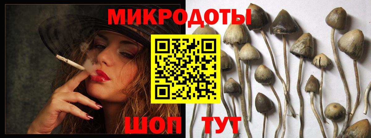 Галлюциногенные грибы ЛСД  Псилоцибиновые грибы Psilocybine cubensis  Вход с VPN  Черногорск 